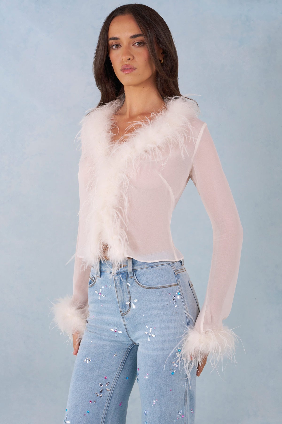 Belavie Elisie Feather Trim Sheer Top in Ivory