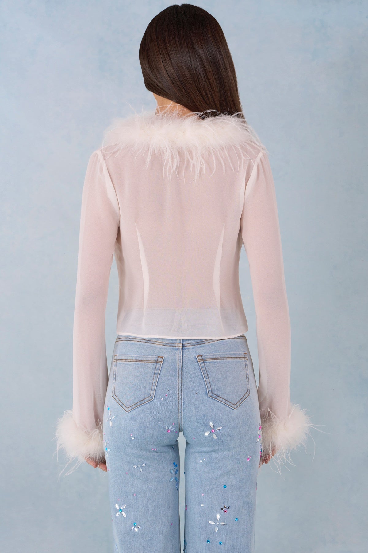 Belavie Elisie Feather Trim Sheer Top in Ivory