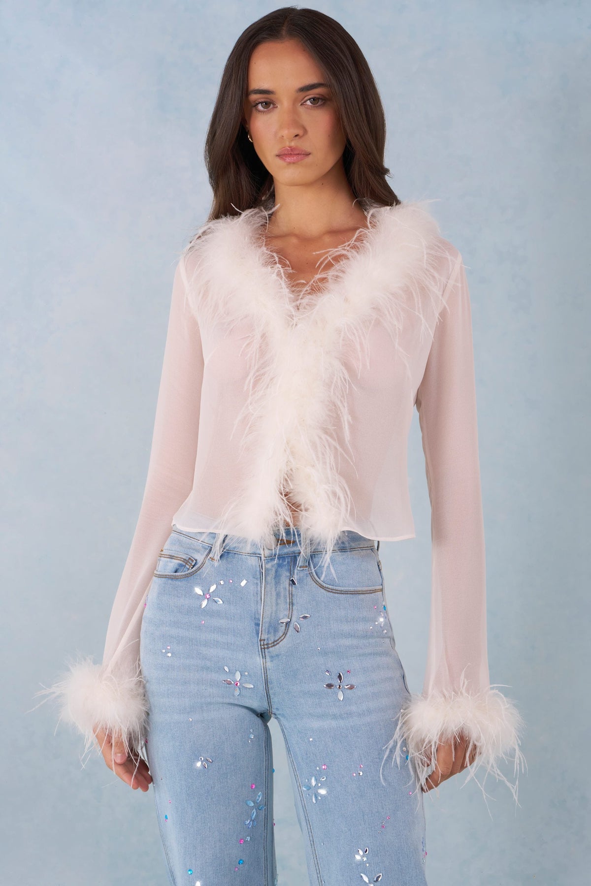 Belavie Elisie Feather Trim Sheer Top in Ivory