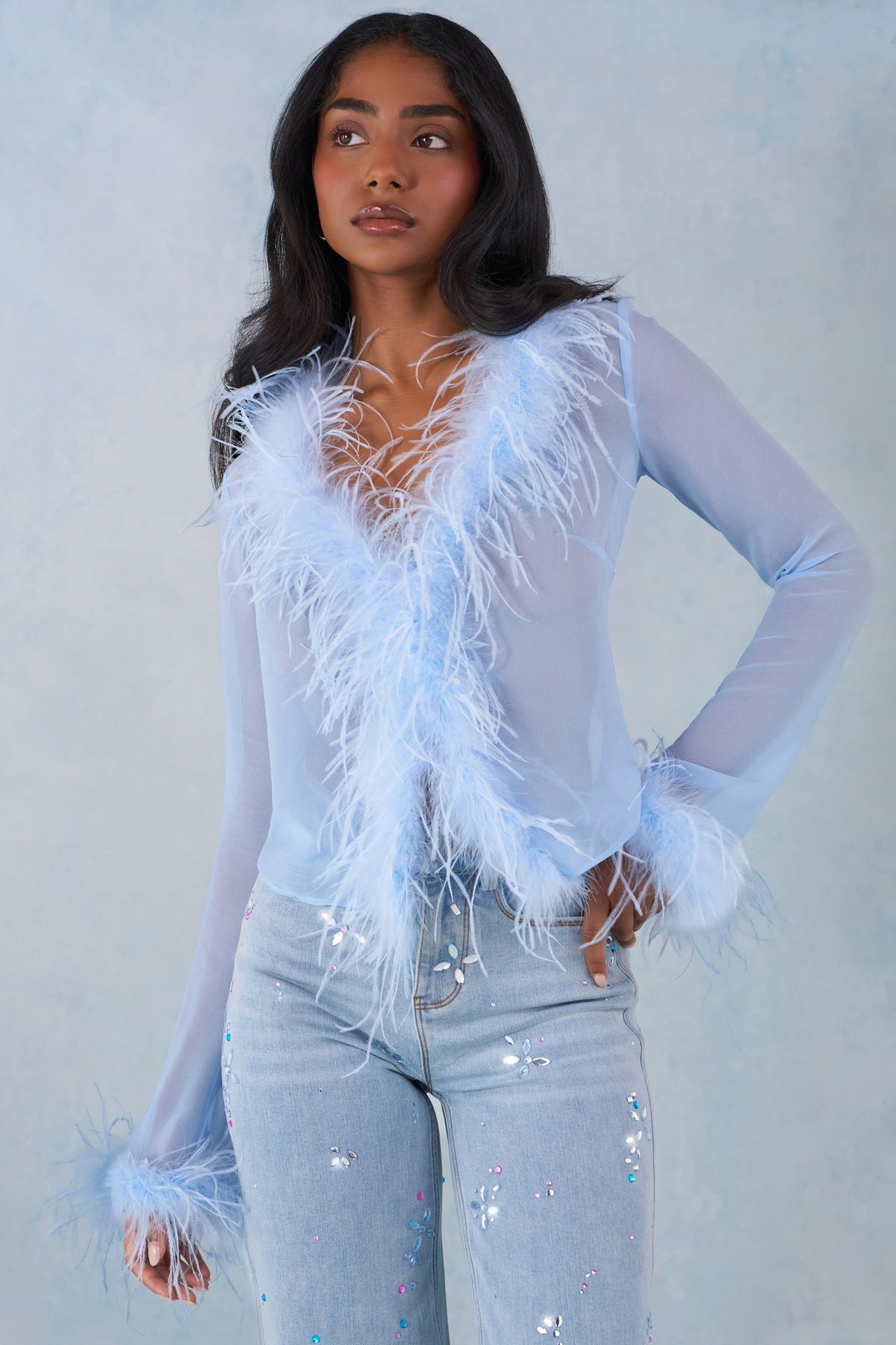 Belavie Elisie Feather Trim Sheer Top in Soft Blue